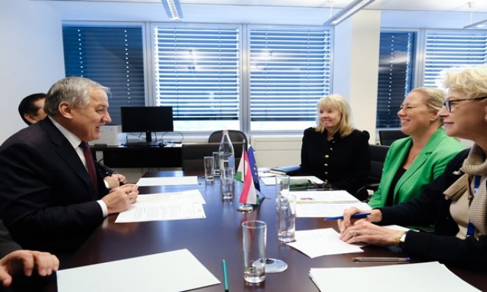 Minister of Foreign Affairs Meets the EU Commissioner